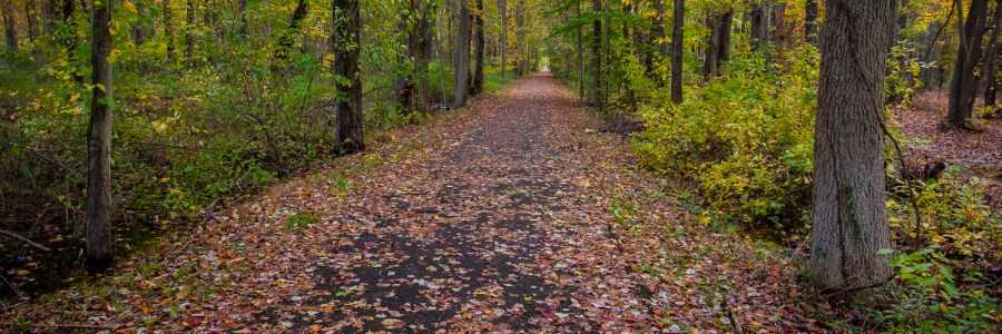 Henry Hudson Trail in in Morganville, New Jersey