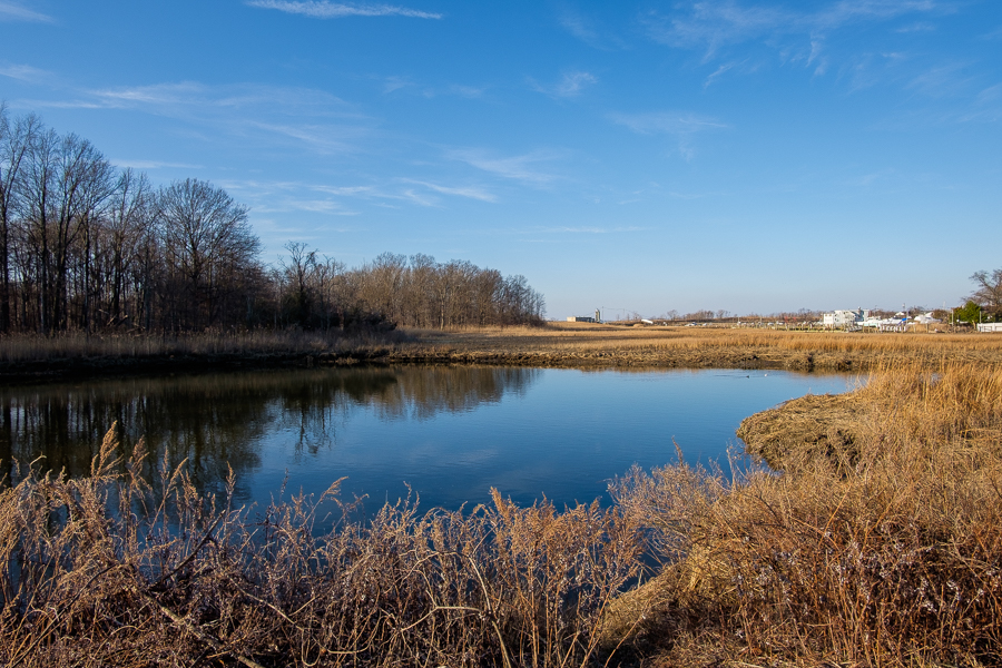 tidal wetlands