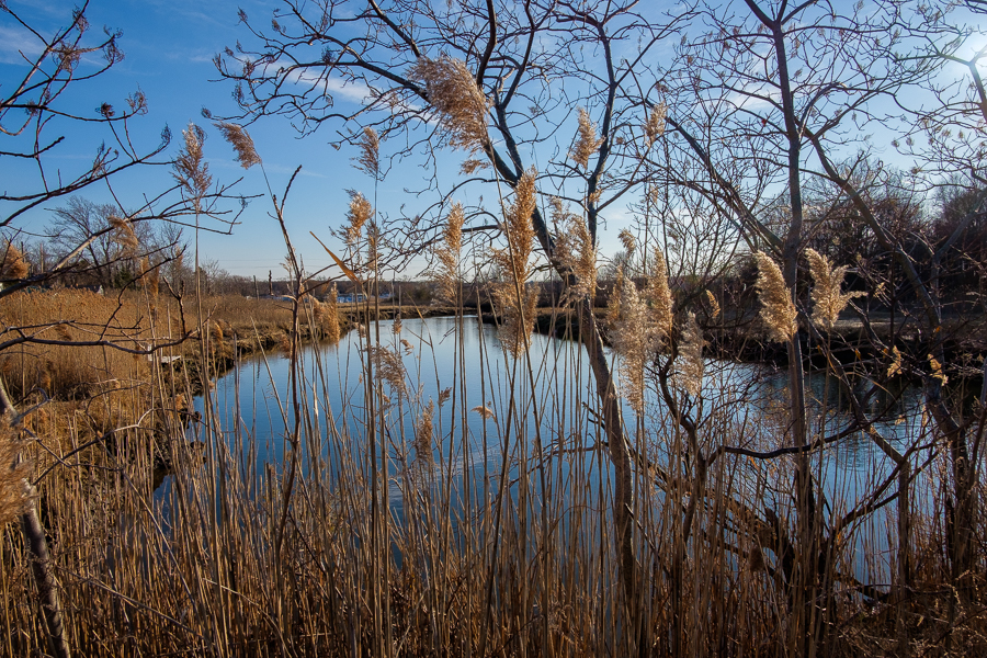 a tidal creek in kenasburg new jersey